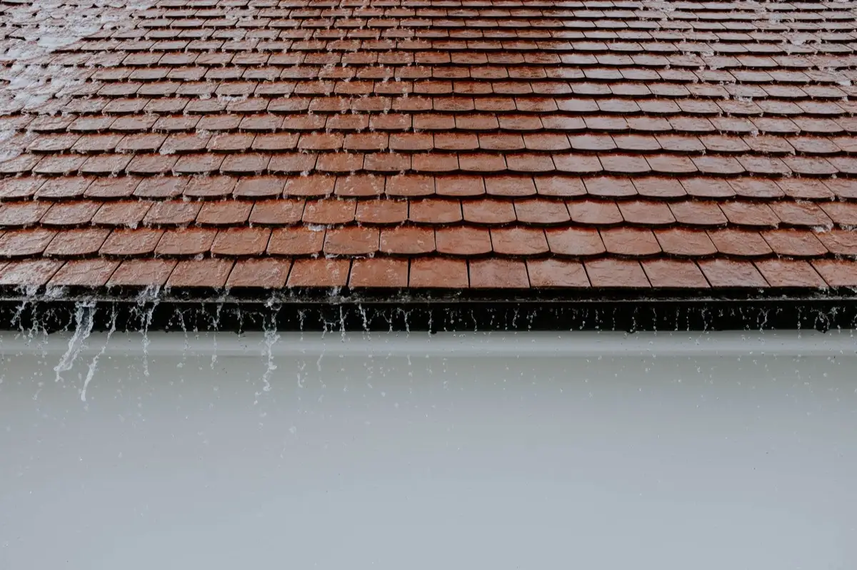 Gutters & Downspouts in Brandon, FL